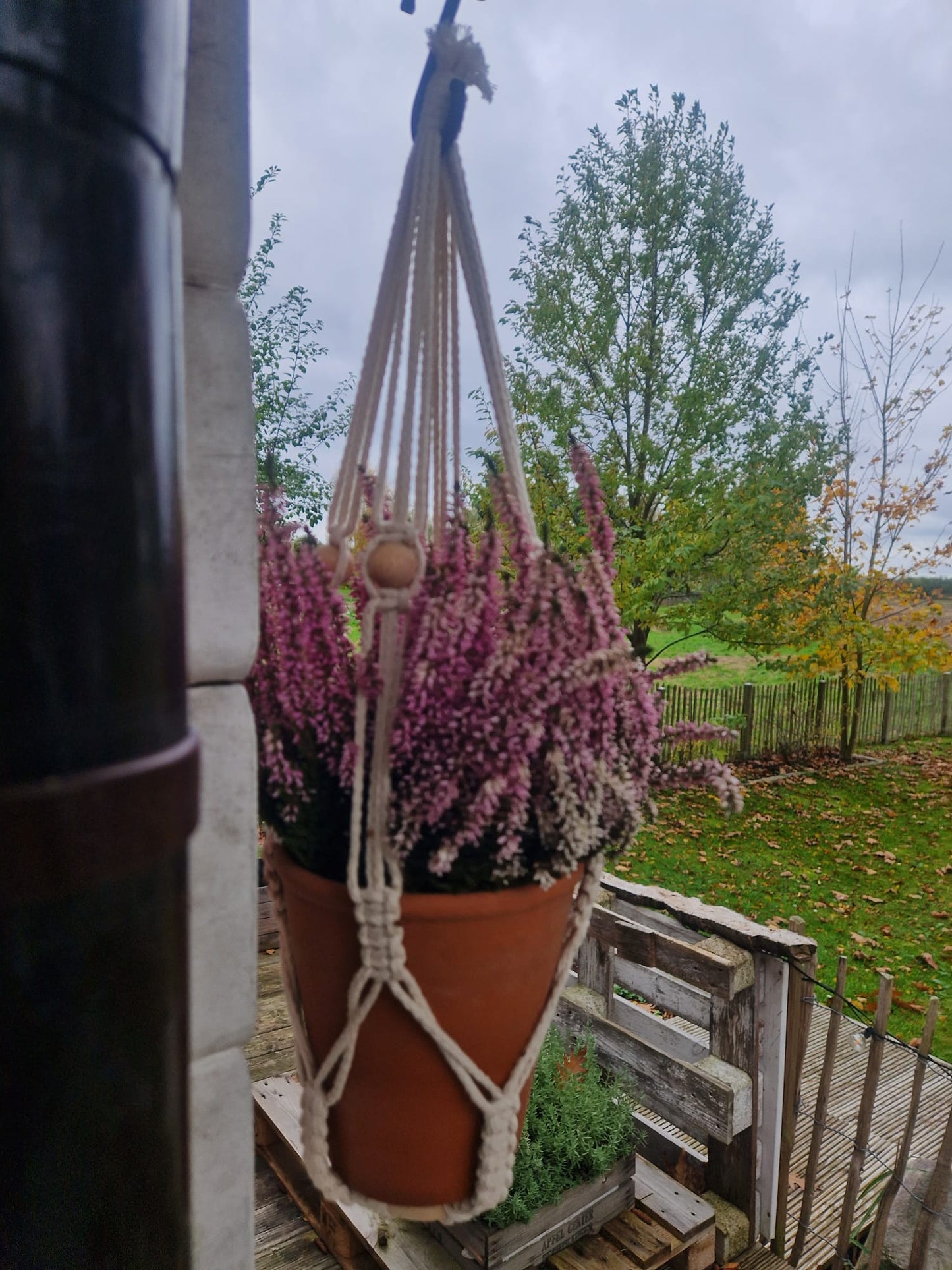 Makramee Blumenampel